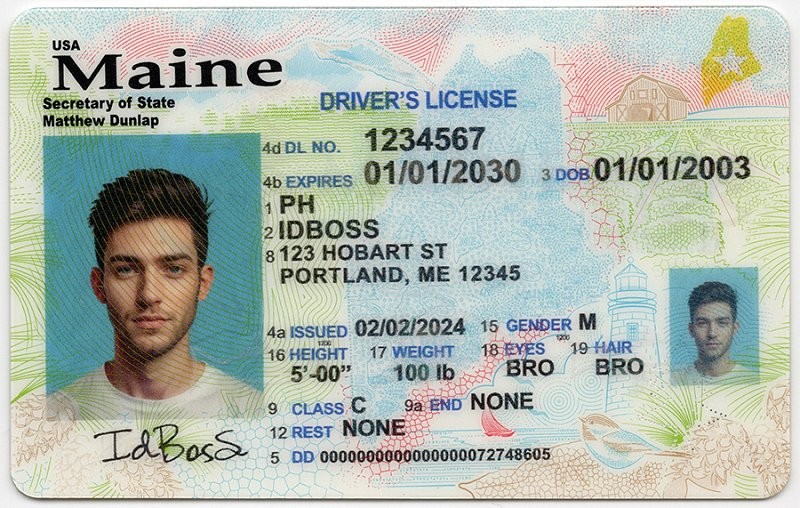 Maryland-MD Fake ID - United States Fake ID - High Quality Scannable Fake ID Card