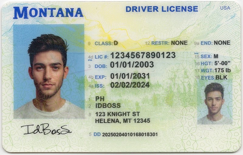 Montana-MT Fake ID - United States Fake ID - High Quality Scannable Fake ID Card
