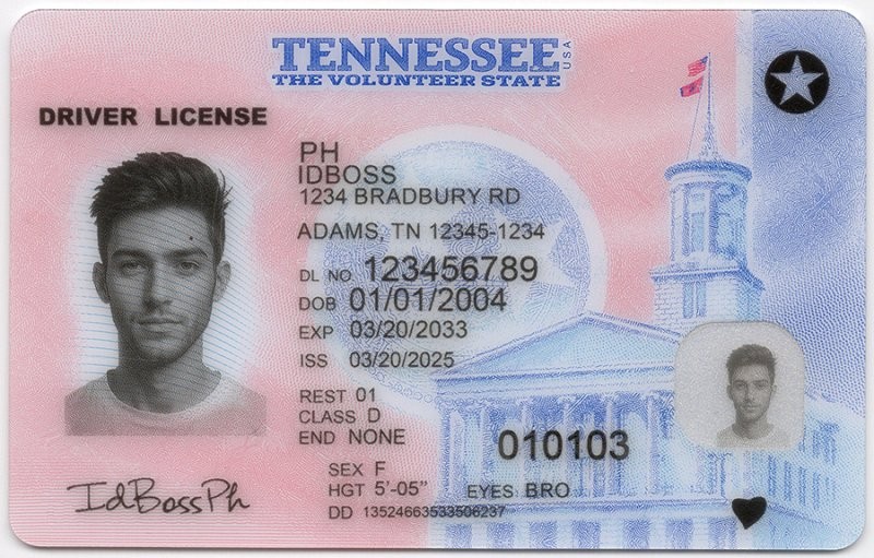 Tennessee-TN Fake ID - United States Fake ID - High Quality Scannable Fake ID Card