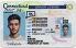 Connecticut-CT Fake ID - View 1 - Fake ID Details
