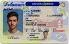 Delaware-DE Fake ID - View 1 - Fake ID Details