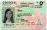 Georgia fake identification