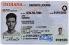 Indiana-IN Fake ID - View 1 - Fake ID Details