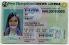 New Hampshire Fake ID - View 1 - Fake ID Details