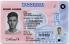 Tennessee-TN Fake ID - View 1 - Fake ID Details