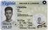 Virginia-VA Fake ID - View 1 - Fake ID Details