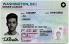 Washington-WA DC Fake ID - View 1 - Fake ID Details